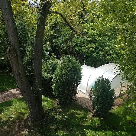 - Jr. Poolparty Prázdninový dům